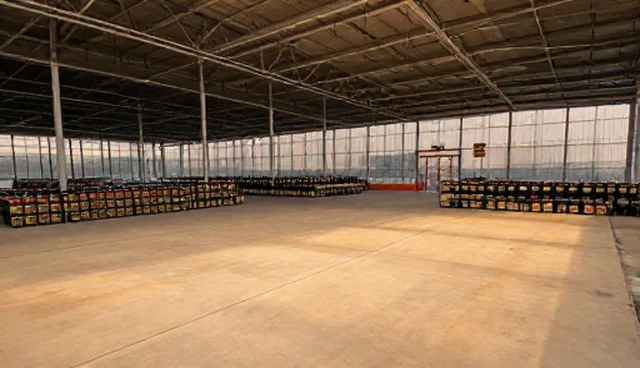 年检代办服务：限制因素分析与使用建议